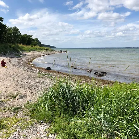 Teve - Ebenerdig Unter Reet & Hyggelig Mit Kamin