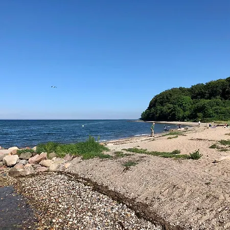Teve - Ebenerdig Unter Reet & Hyggelig Mit Kamin アパート Steinbergkirche