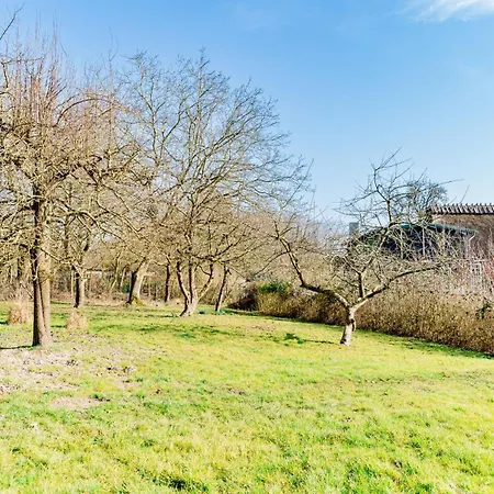 Teve - Ebenerdig Unter Reet & Hyggelig Mit Kamin