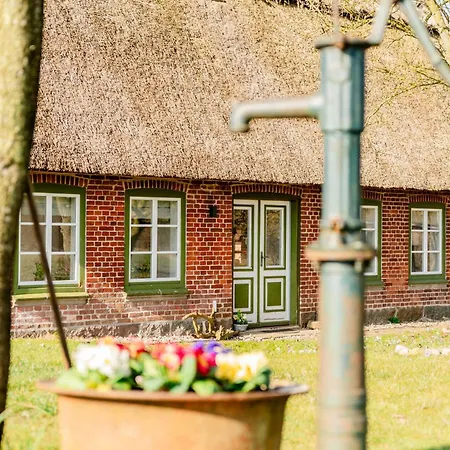 Apartman Teve - Ebenerdig Unter Reet & Hyggelig Mit Kamin