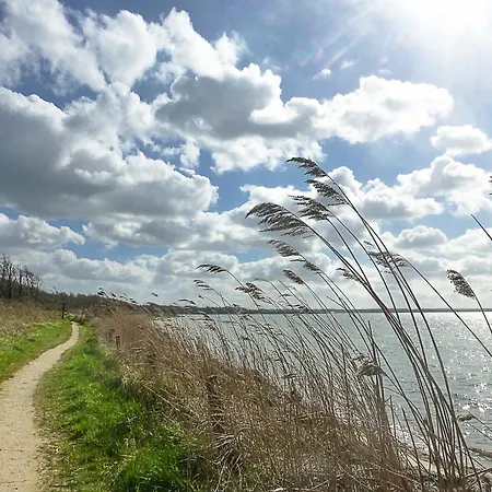 Teve - Ebenerdig Unter Reet & Hyggelig Mit Kamin アパート *